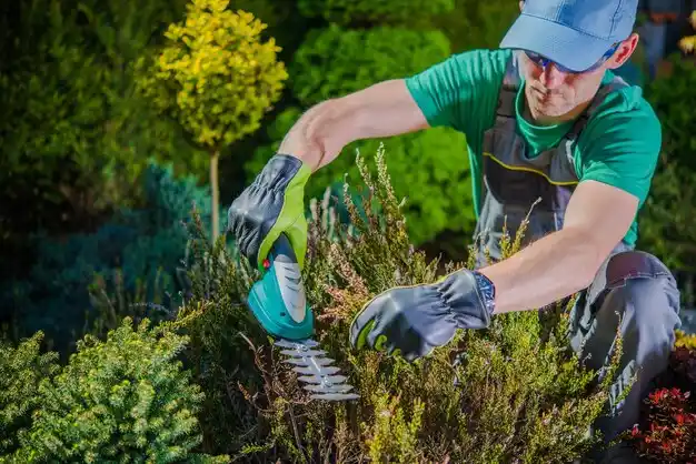 landscaping services Middle Island